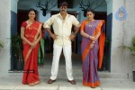 Ranga the Donga Movie Gallery - 134 of 186