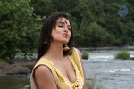 Sana Khan Hot Stills in Gajjala Gurram - 3 of 18