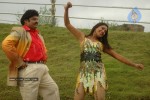Sankranthi Alludu Movie New Stills - 5 of 47
