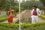 Sankranthi Alludu Movie New Stills - 16 of 47