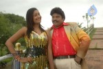 Sankranthi Alludu Movie New Stills - 27 of 47