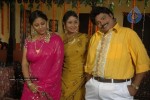Sankranthi Alludu Movie New Stills - 29 of 47