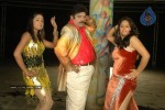 Sankranthi Alludu Movie New Stills - 39 of 47
