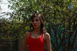 Sarena Movie Hot Stills - 2 of 46