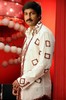 Shankam Movie Stills - Gopi Chand - Trisha - 3 of 22