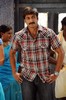 Shankam Movie Stills - Gopi Chand - Trisha - 11 of 22