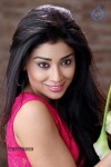 Shriya Stills in Pavitra Movie - 19 of 30