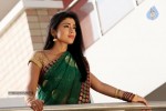 Shriya Stills in Pavitra Movie - 30 of 30