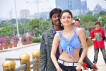 Simha Putrudu Movie New Stills - 27 of 62