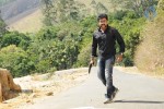 Singam Movie Stills and Wallpapers - 106 of 149