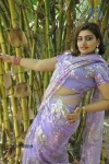 Siruvani Tamil Movie Hot Photos - 33 of 88