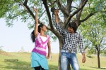 Snehame Thoduga Movie Stills - 9 of 142