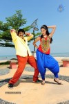 Srimannarayana Movie Latest Stills - 9 of 23