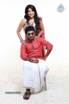 thiruttu-vcd-tamil-movie-stills