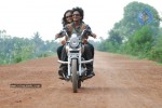 Timmaraju Movie Stills  - 2 of 51