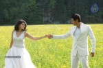 Vachchadu Gelichadu Movie New Stills - 17 of 58