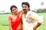 Vanavarayan Vallavarayan Tamil Movie Photos - 8 of 17