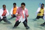 Colourful stills - Venkatesh,Trisha - Namo Venkatesa - 46 of 59