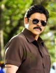 Venky Bodyguard Movie Stills - 3 of 5