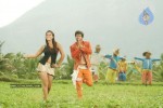 Yama Kantri Movie New Stills - 18 of 99