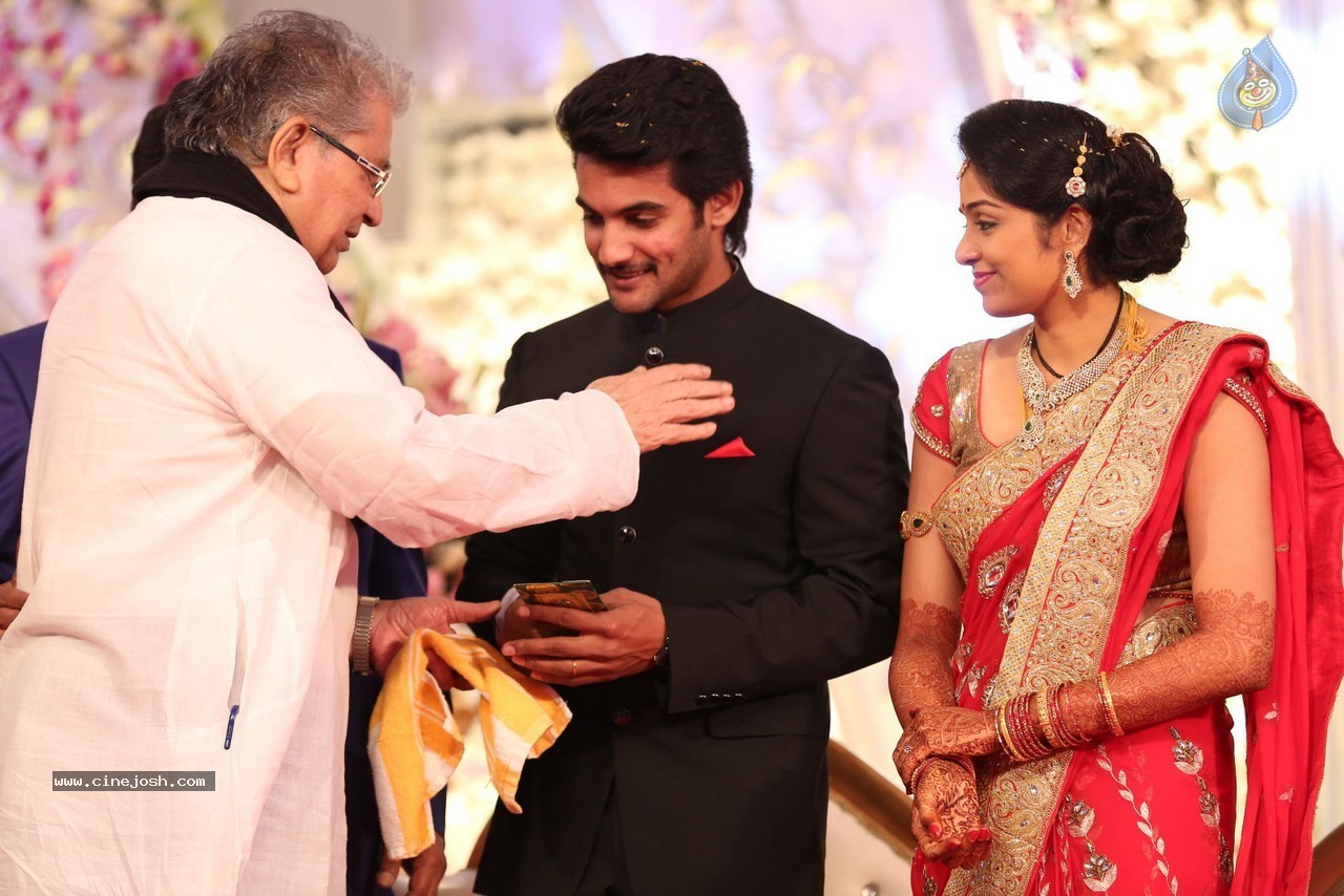 Aadi and Aruna Wedding Reception 01 - 5 / 119 photos