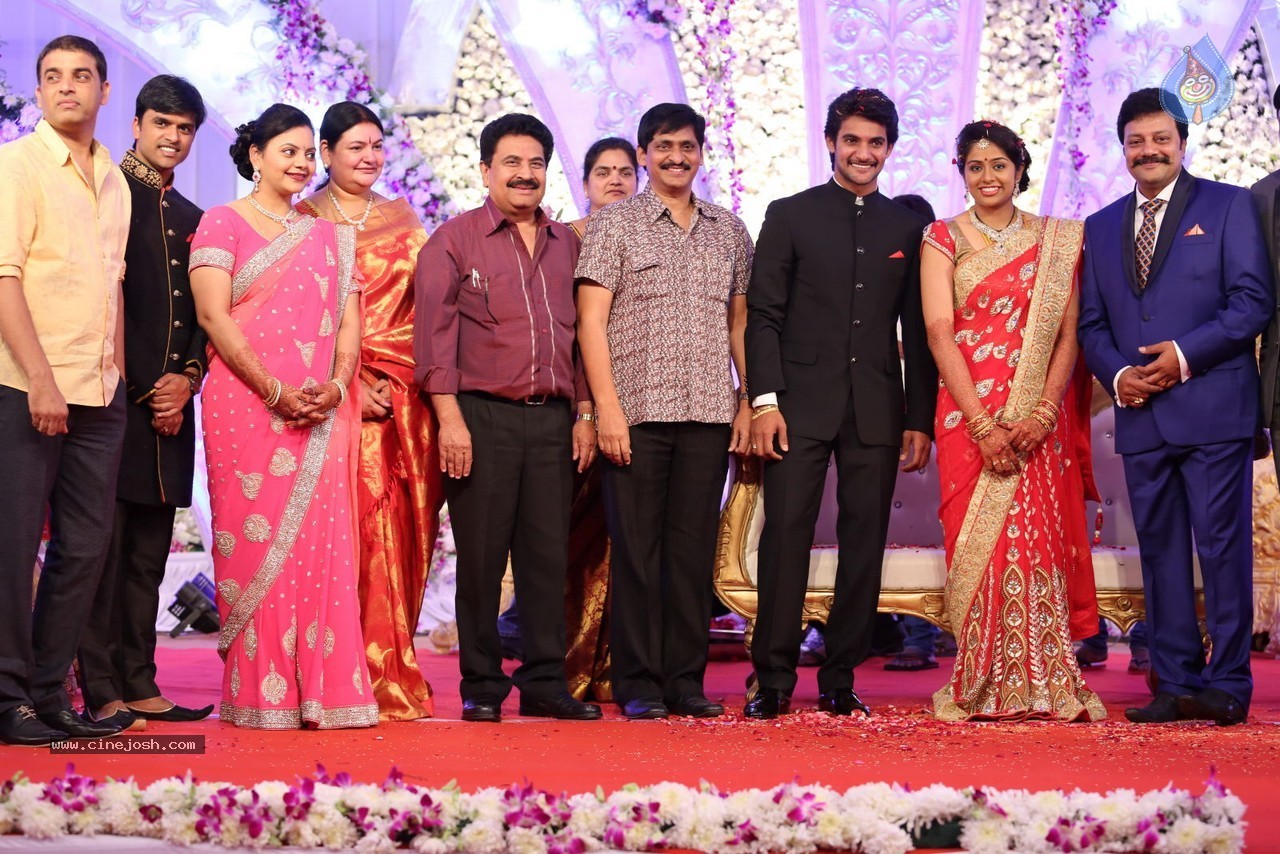 Aadi and Aruna Wedding Reception 03 - 3 / 235 photos