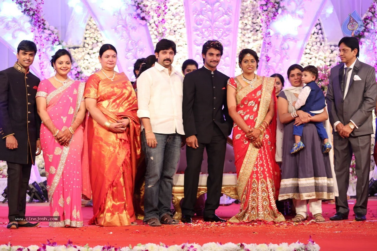 Aadi and Aruna Wedding Reception 03 - 7 / 235 photos