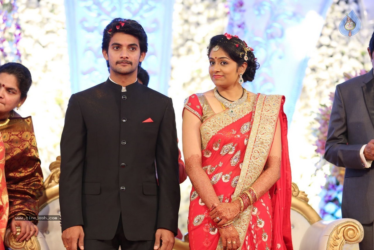 Aadi and Aruna Wedding Reception 03 - 10 / 235 photos