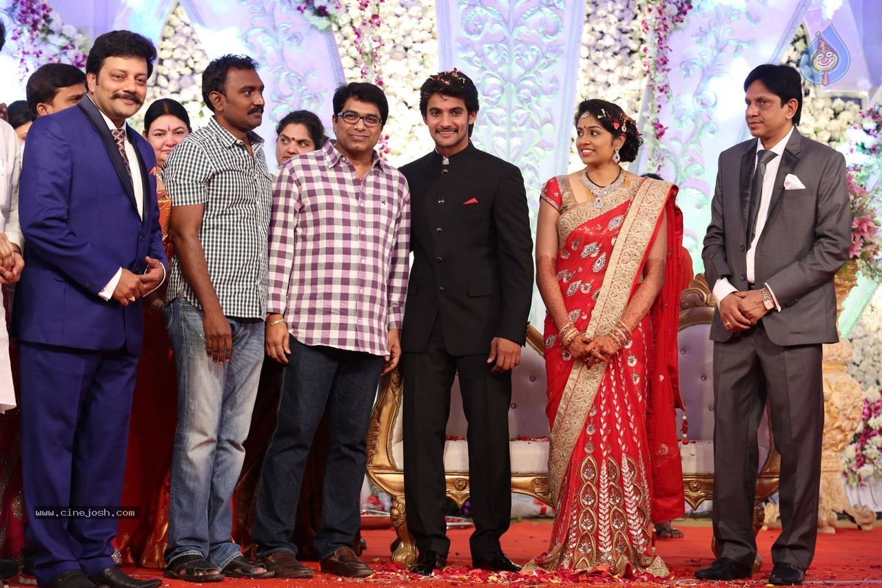 Aadi and Aruna Wedding Reception 03 - 13 / 235 photos