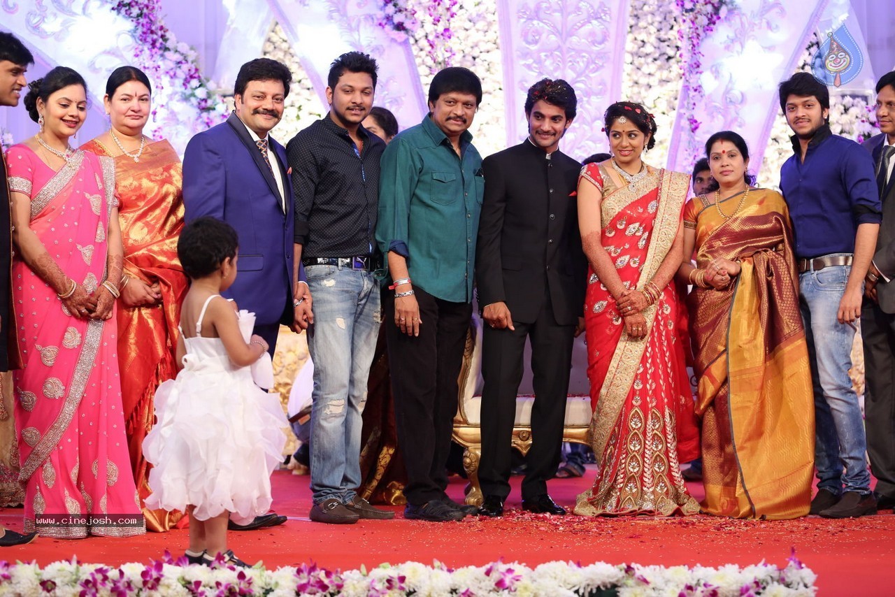 Aadi and Aruna Wedding Reception 03 - 15 / 235 photos