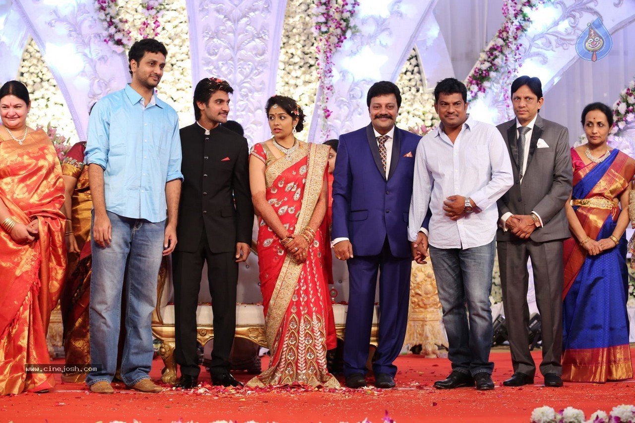 Aadi and Aruna Wedding Reception 03 - 19 / 235 photos