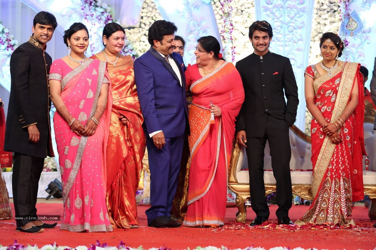 Aadi and Aruna Wedding Reception 03 - 20 / 235 photos