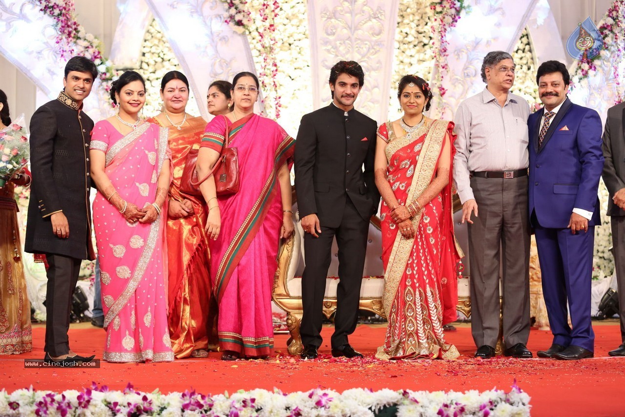 Aadi and Aruna Wedding Reception 03 - 62 / 235 photos