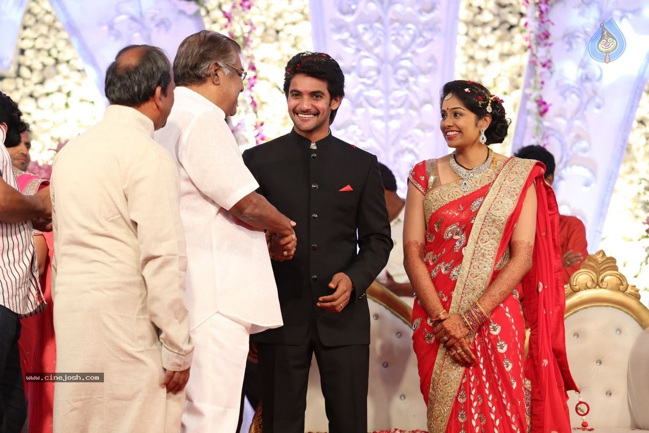 Aadi and Aruna Wedding Reception 03 - 222 / 235 photos