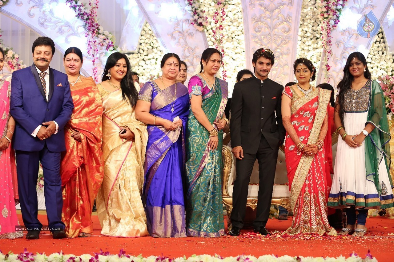 Aadi and Aruna Wedding Reception 04 - 11 / 49 photos