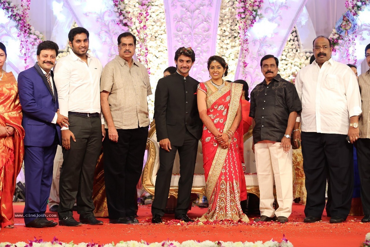 Aadi and Aruna Wedding Reception 04 - 12 / 49 photos