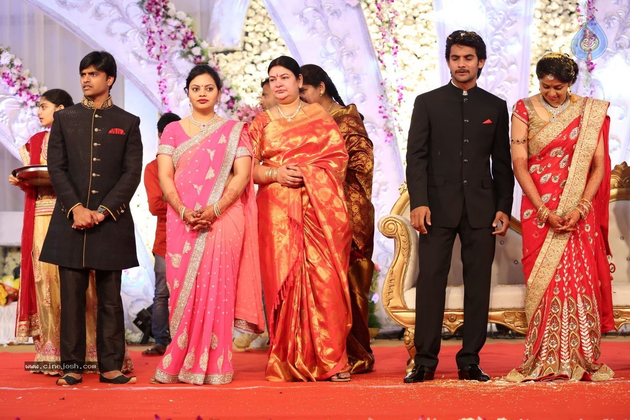 Aadi and Aruna Wedding Reception 02 - 10 / 170 photos