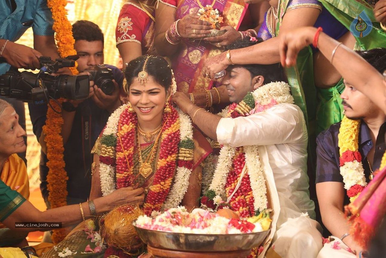 Actor Pandiarajan Son Wedding Photos - 19 / 73 photos