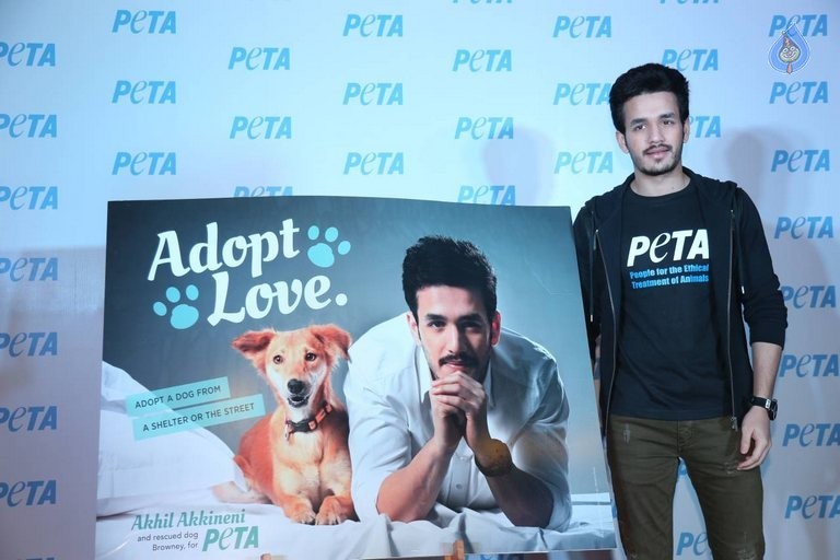 Akhil at PETA Event - 1 / 37 photos