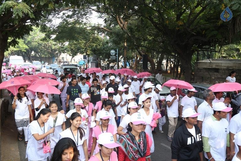 Balakrishna at Breast Cancer Awareness Walk - 14 / 15 photos