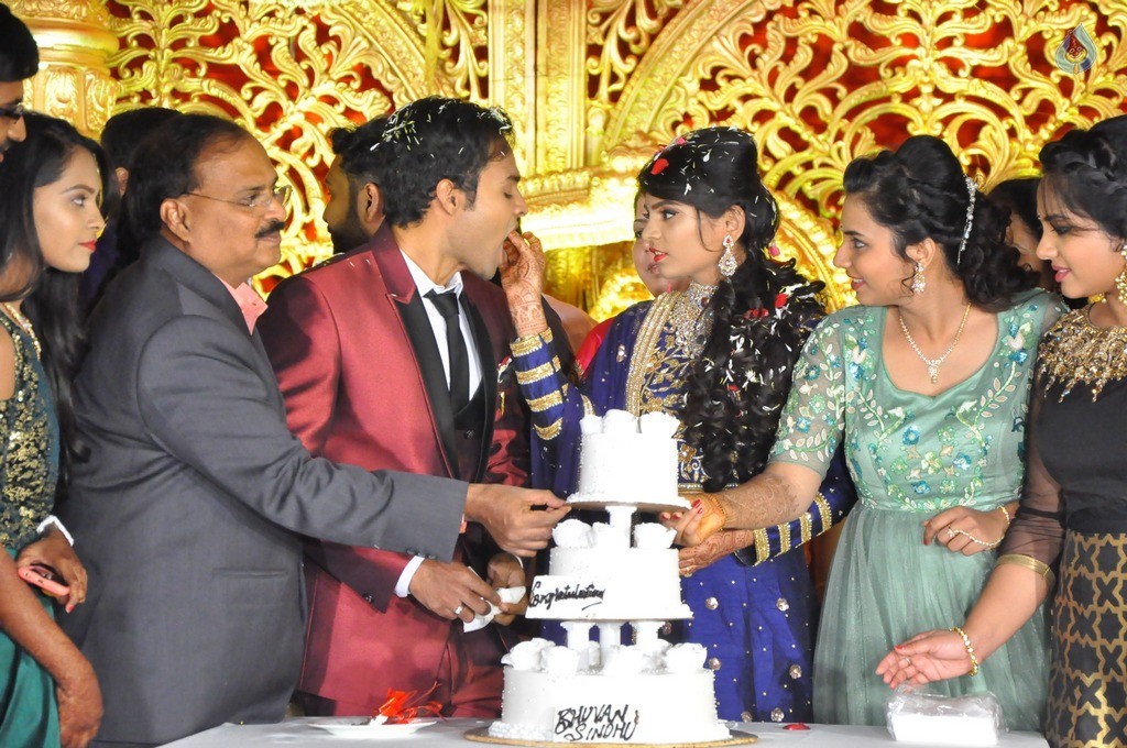 Bhuvan Sagar and Sindhusha Wedding Reception Photos - 44 / 124 photos