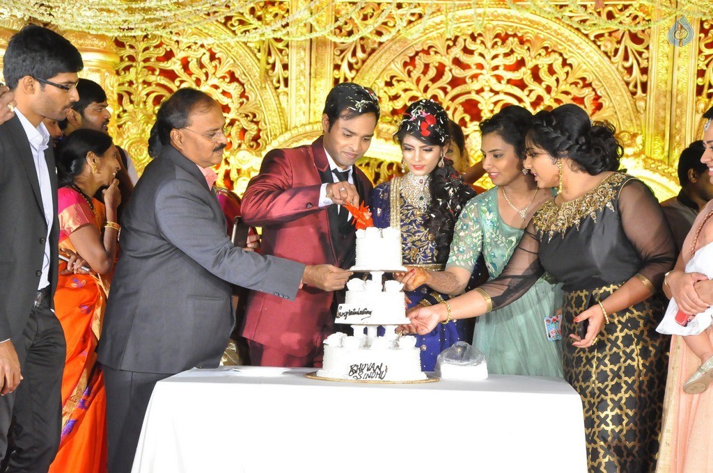 Bhuvan Sagar and Sindhusha Wedding Reception Photos - 66 / 124 photos
