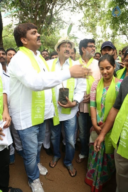 Celebrities Participates in Haritha Haram Program - 4 / 100 photos