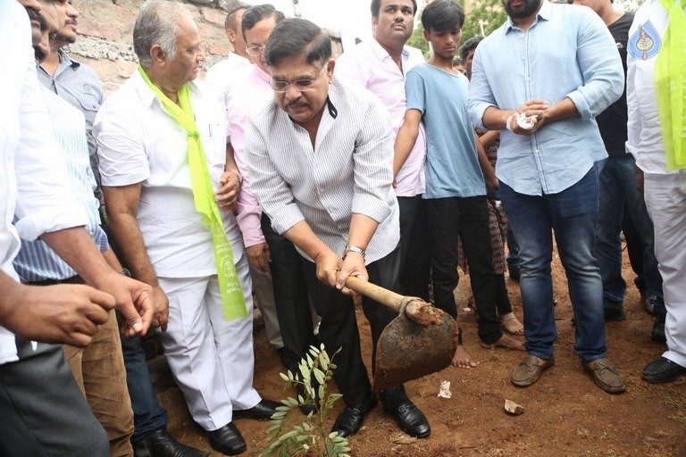 Celebrities Participates in Haritha Haram Program - 7 / 100 photos