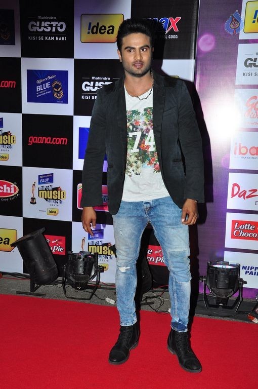 Celebs at Mirchi Music Awards 2014 Photos 2 - 15 / 63 photos