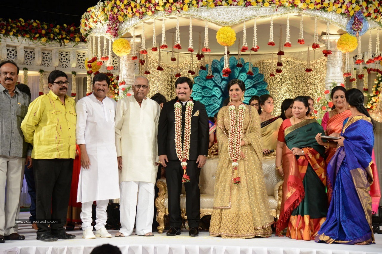 Celebs at Rajendra Prasad Son Wedding Reception 03 - 3 / 60 photos