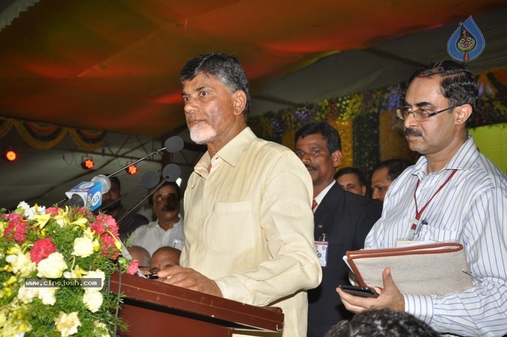Chandrababu Naidu Sworn in as Andhra Pradesh CM - 8 / 150 photos