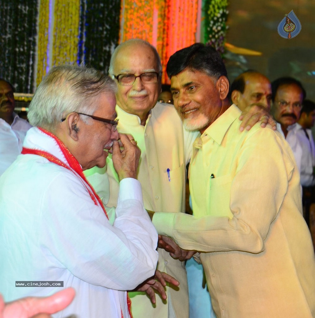 Chandrababu Naidu Sworn in as Andhra Pradesh CM - 13 / 150 photos