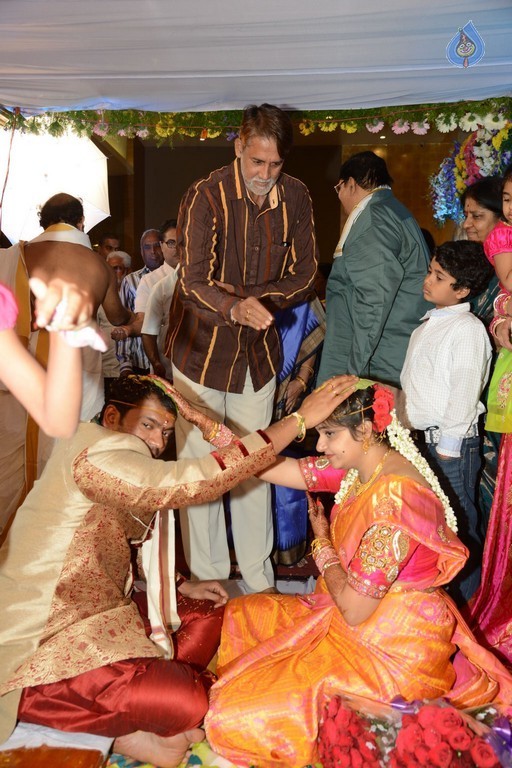Director K Vasu Daughter Wedding Photos - 12 / 37 photos