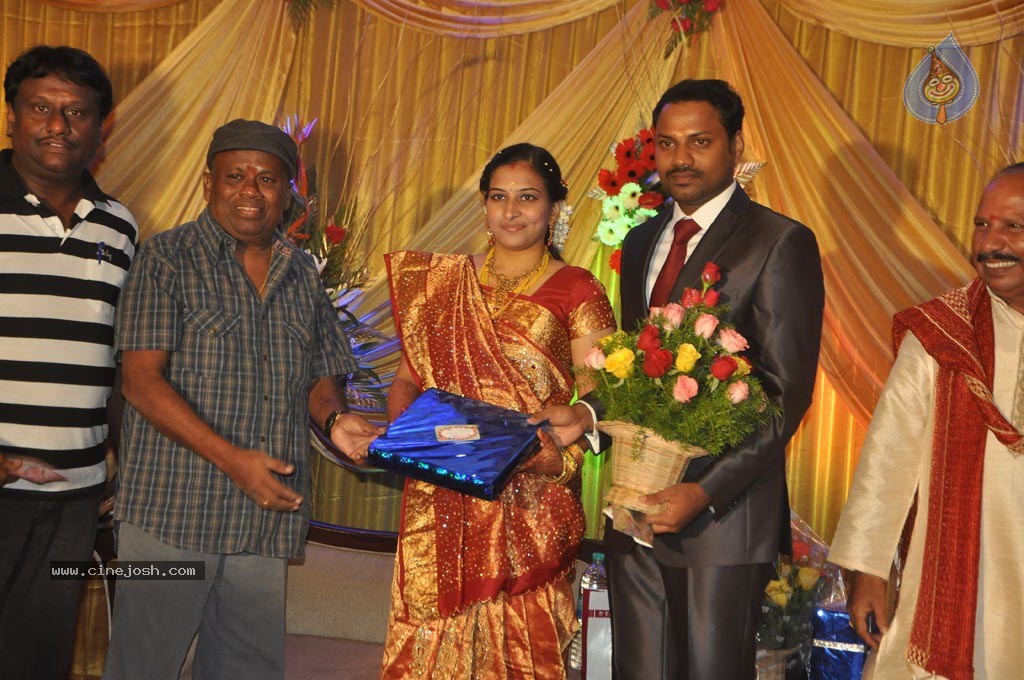 Director Senthinathan Son Wedding Reception - 19 / 63 photos